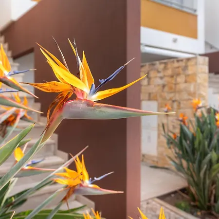 Apartamento Vista Piscina