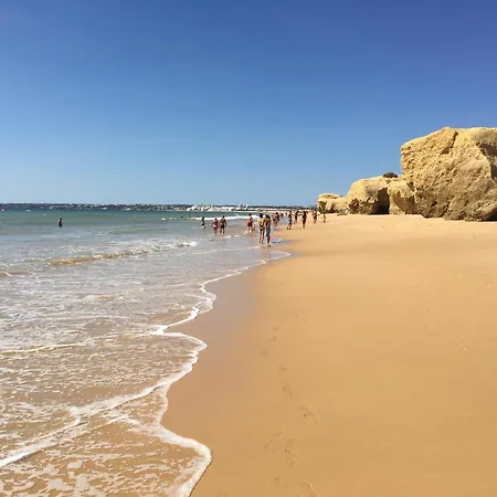 Vista Piscina