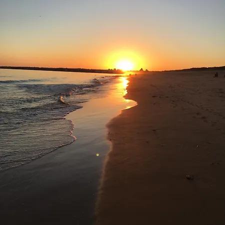 Vista Piscina * Guia (Faro)