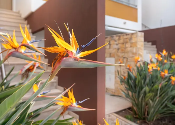 شقة Vista Piscina